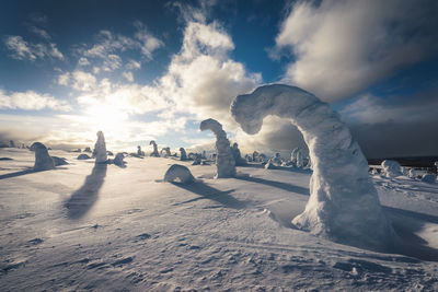 Scenic view of snow covered trees against sky