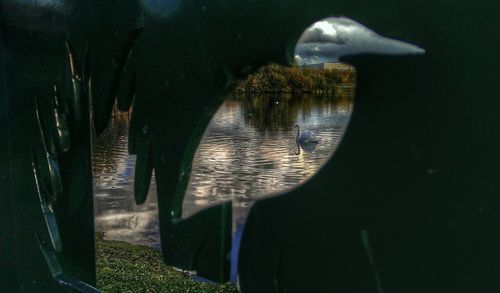 Reflection of trees in water