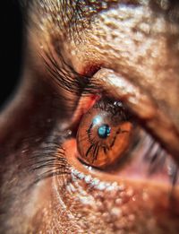 Close-up of human eye