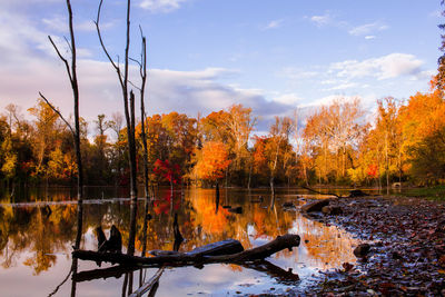 Scenic view of lake in forest during autumn