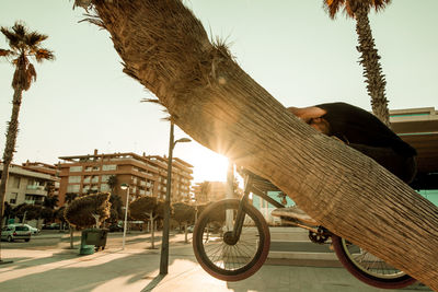 Man riding bicycle by tree in city