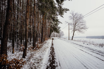 Path sideways of the forest in a winter landscape