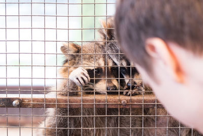 Close-up of hand in cage