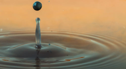 Close-up of drop falling on water