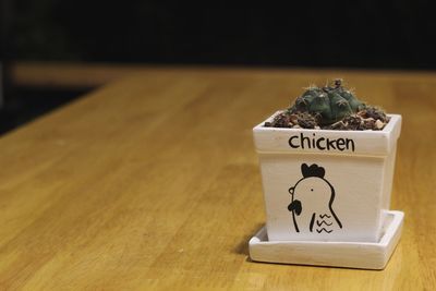 Close-up of succulent plant with text on table