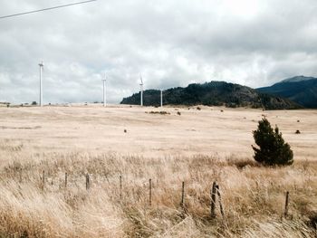 Scenic view of field against sky