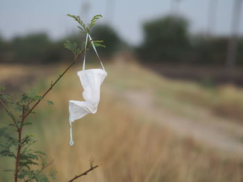 Close-up of white mask on field