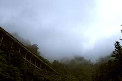 Low angle view of trees against sky