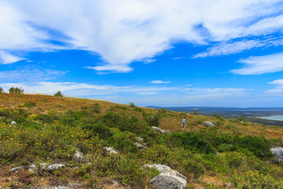 Scenic view of landscape against sky