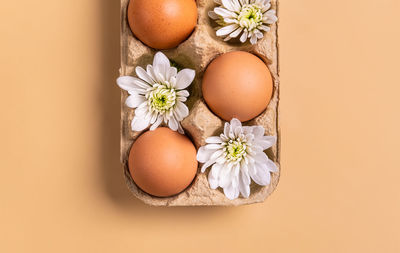 Directly above shot of potted plant on table