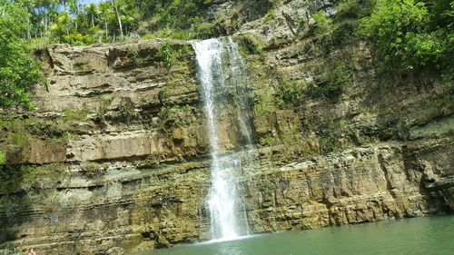 Close-up of water splashing on tree