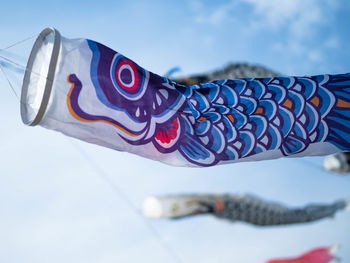 Close-up of fish against sky