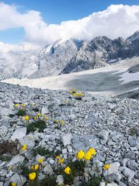 Scenic view of snow covered mountain against sky