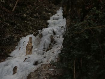 Scenic view of waterfall in forest against sky