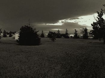 Trees on field against cloudy sky