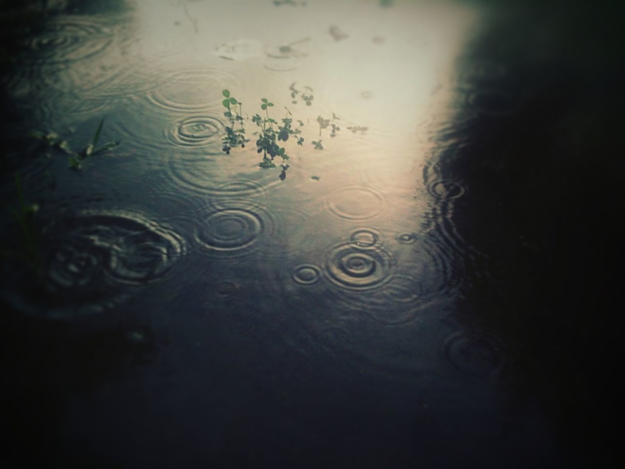 water, full frame, backgrounds, waterfront, wet, rippled, reflection, indoors, drop, high angle view, close-up, nature, pattern, no people, purity, abstract, natural pattern, rain, transparent, water surface