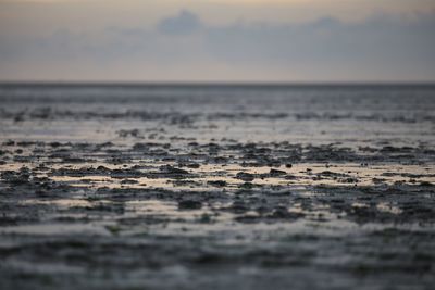 Surface level of sea against sky