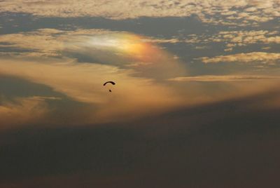 Low angle view of silhouette bird flying against sky during sunset