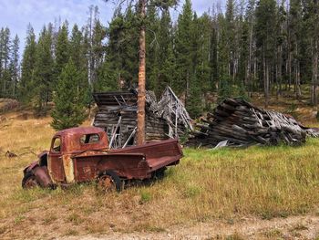 Abandoned truck on field in forest