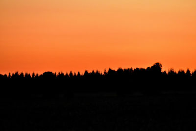 Silhouette trees against orange sky