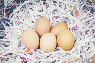 High angle view of eggs