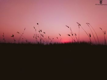 Silhouette birds flying over landscape against sky during sunset