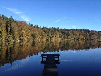 Reflection of trees in lake