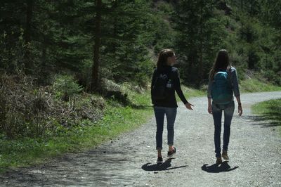 Rear view of women walking on road amidst trees