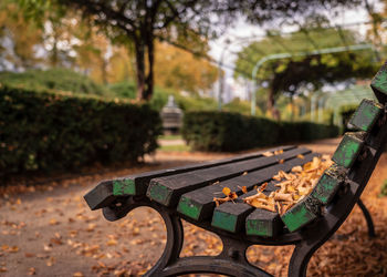 Close-up of bench in park