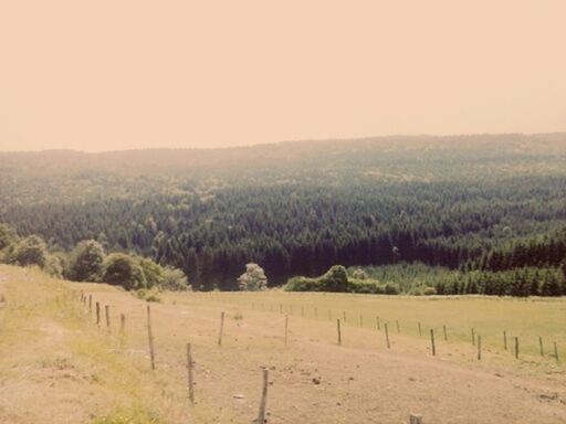 landscape, tranquil scene, tranquility, tree, clear sky, field, scenics, rural scene, nature, beauty in nature, mountain, agriculture, fence, growth, copy space, non-urban scene, farm, remote, idyllic, mountain range