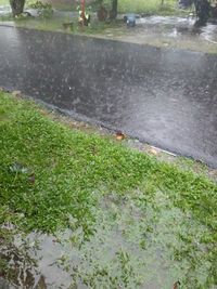 High angle view of wet footpath in park