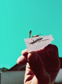 Bee on a hand against blue sky