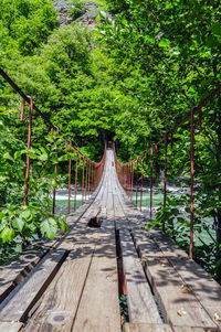 Footbridge amidst trees