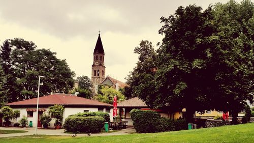 Trees and buildings against sky