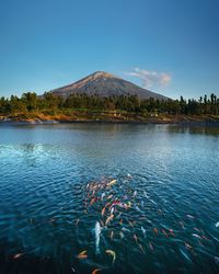 Scenic view of lake against blue sky