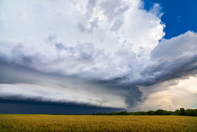 Scenic view of agricultural field against cloudy sky