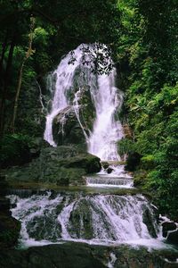 Waterfall in forest