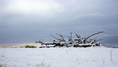 Snow covered field against sky