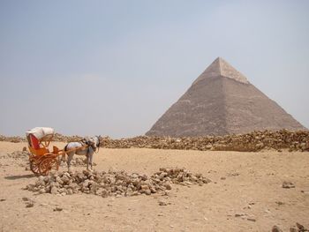 Horse cart against pyramid of chephren at desert