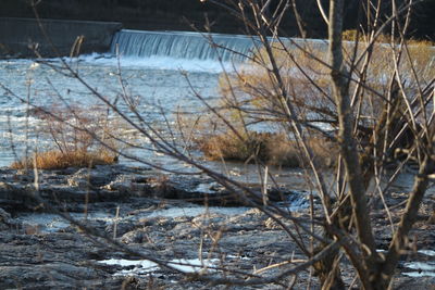 Frozen river amidst trees during winter