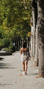 Rear view of boy walking on tree