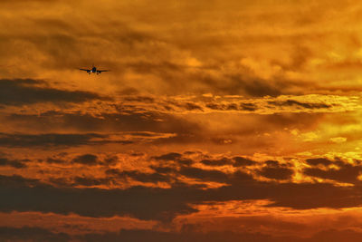 Low angle view of airplane flying in sky