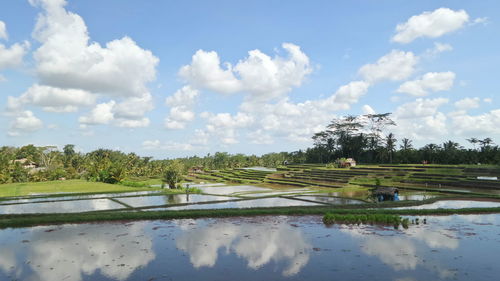 Scenic view of lake against sky