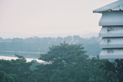 Trees and buildings against sky