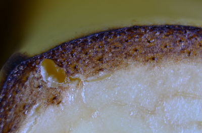 Close-up view of bread