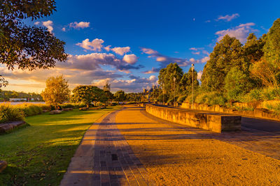 Road amidst trees against sky during autumn