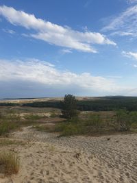 Scenic view of beach against sky