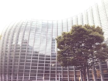 Low angle view of fence against sky