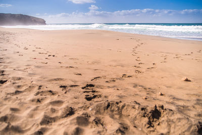 Scenic view of beach against sky