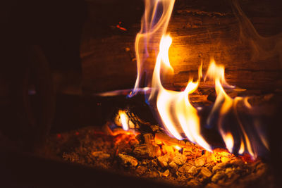 Close-up of bonfire at night